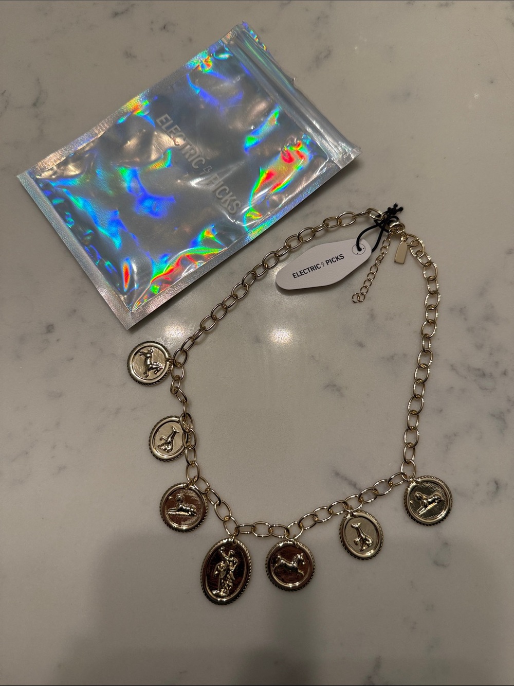 Electric Family Gold Coin Charm Necklace - Gold Tone Chain with Charms